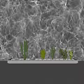 Elegant Wall Washer Light Illuminating Wall With Light Patterns And Cactus Plants In Planter