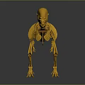 Yellow Dinosaur Skeleton With Detailed Bone Structure And 3D Rendering 3d model