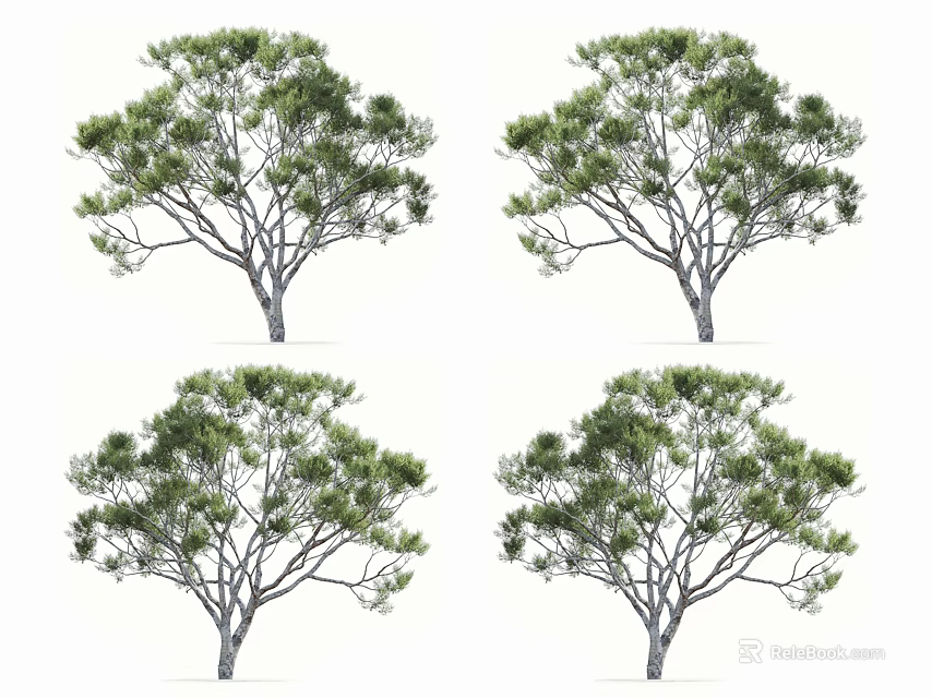 Lush Arbor With Dense Green Foliage And Branchy Trunk Structure 3d model