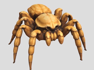 spider reptile crawling pet insect 3d model