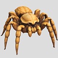 spider reptile crawling pet insect 3d model