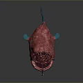 Red Angler Fish With Sharp Teeth Long Lure And Blue Fins