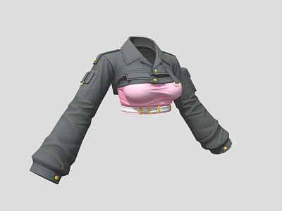 clothes ladies clothes clothing top Denim handsome 3d model