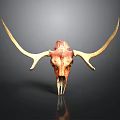 Decorative Bull Skull With Long Horns Red Yellow On Dark Background With Reflection