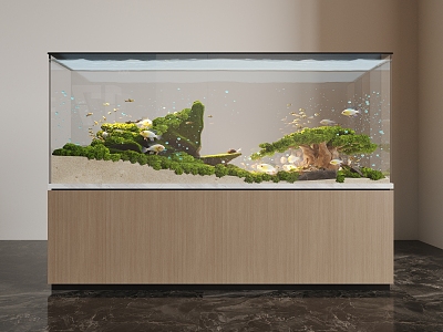 Fish tank model