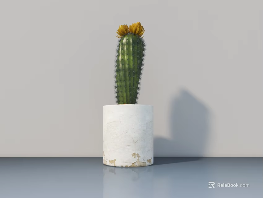 Cactus Potted Plant In White Cylindrical Pot With Yellow Flowers On Grey Wall Background 3d model 