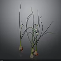 Leafy Plants With Slender Green Leaves White Flowers In Textured Spherical Pots On Gray Background