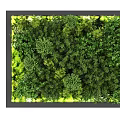 Lush Plants Decorative Greenery Wall Design 3d model