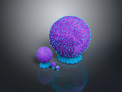 Barrel Jellyfish Fireworks Jellyfish Silver Coin Jellyfish Flower Hat Jellyfish Purple Sea Thorn Jellyfish Mediterranean Omelet Jellyfish 3d model
