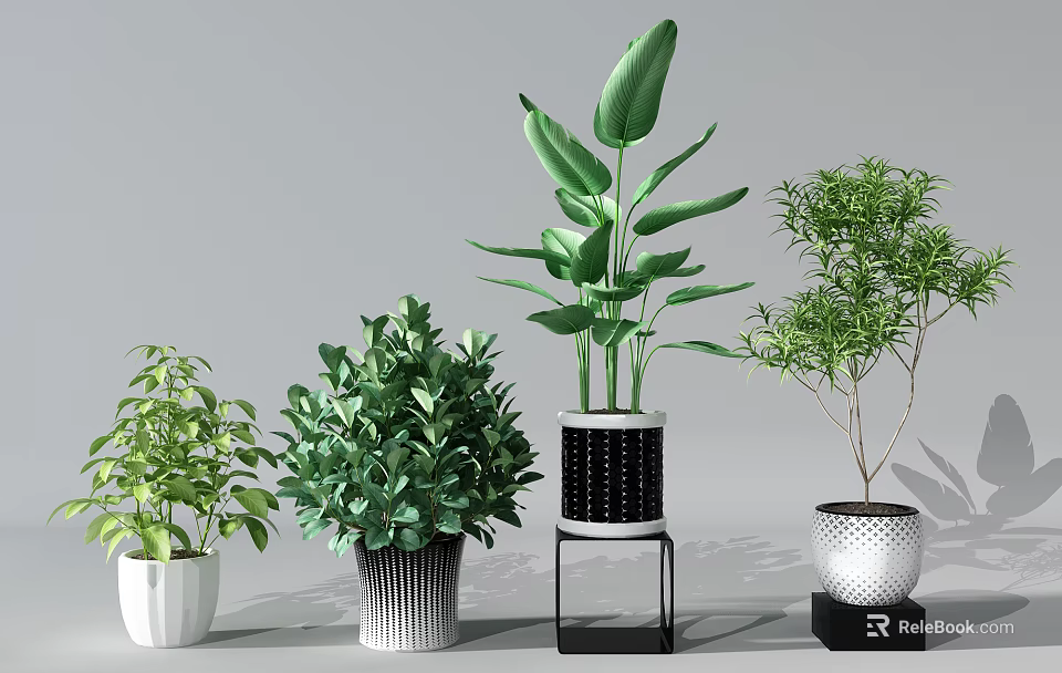 Bonsai Potted Plants With Various Green Leafy Species In Stylish Decorative Pots 3d model 