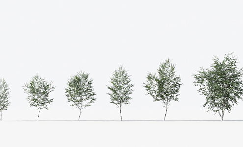 Modern Trees Small Trees 3d model