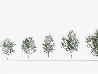 Modern Trees Small Trees 3d model