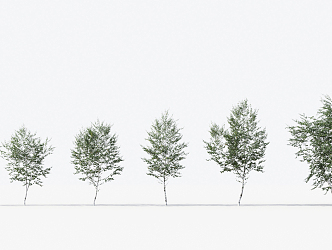 Modern Trees Small Trees 3d model