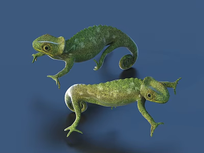 Realistic Green Reptile Chameleon Pair Crawling With Natural Skin Texture On Blue Background 3d model
