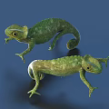 Realistic Green Reptile Chameleon Pair Crawling With Natural Skin Texture On Blue Background