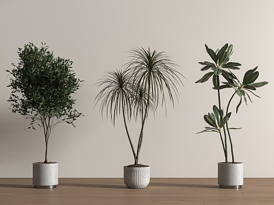 green plant potted floor plant 3d model