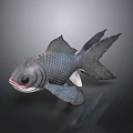 Dark Colored Fish With Large Eyes And Detailed Scales On Dark Background