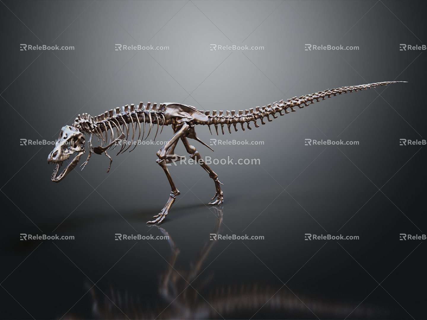 Modern Fossil Dinosaur Skeleton 3d model