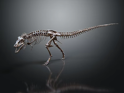 Public Museum Exhibition Facility Featuring Life Sized Dinosaur Skeleton 3d model