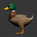 Cartoon Duck With Green Head Yellow Beak Red Chest White Wings And Orange Feet