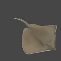 Stingray Swimming In Dark Underwater Environment With Flat Body And Long Tail