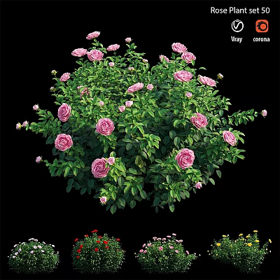 Lush Pink Rose Bush With Vibrant Green Leaves In Garden 3d model