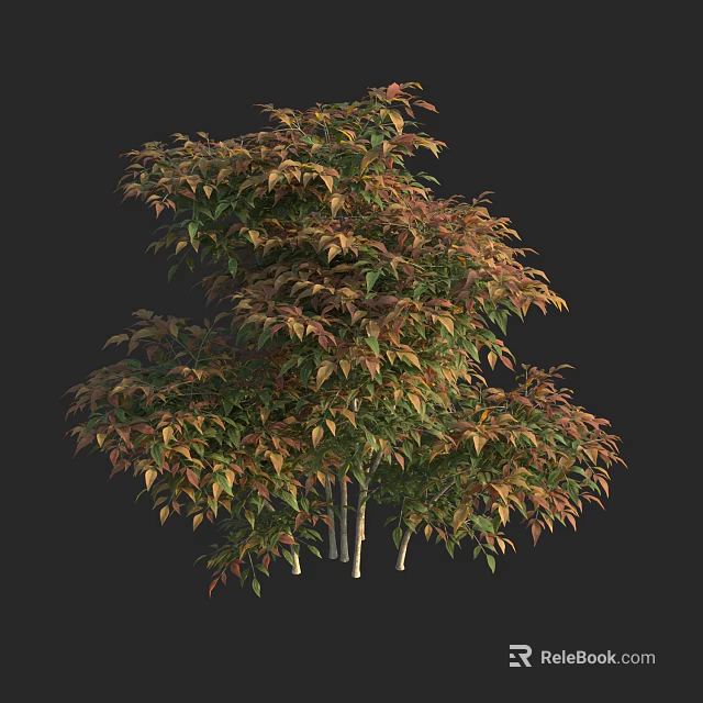 Lush Arbor Tree with Green and Red Leaves and Multiple Trunks 3d model