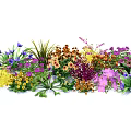 Colorful Mixed Flowers and Plants with Various Species and Vibrant Blooms in Garden