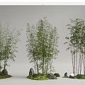 Modern Bamboo Landscape Bamboo Luohan Bamboo Xiangfei Bamboo Courtyard Bamboo Moss Terrain 3d model