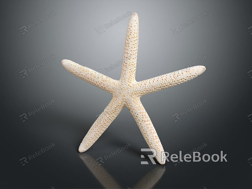 Modern starfish mollusk model