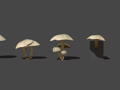 Modern wild mushroom edible mushroom mushroom 3d model