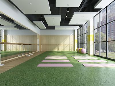 Modern Yoga Room Gym Yoga Room model