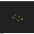 Fresh Green Vegetables Collection Including Zucchini Squash and Avocado on Gray Surface