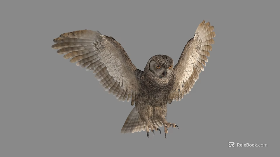 Gray Owl Spreading Wings While Flying Against Gray Background With Detailed Feathers 3d model 