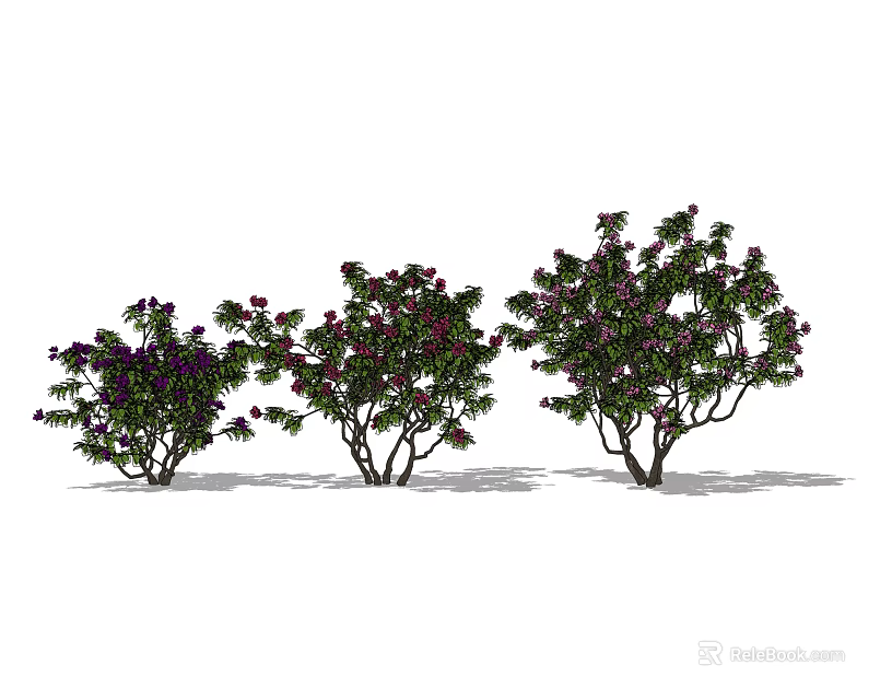 Three Shrubs With Green Leaves And Purple Flowers In Natural Growth 3d model 