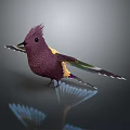 Crested Purple Bird with Yellow and Green Feathers Outstretched Wings on Reflective Surface