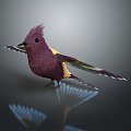 Modern bird hummingbird bird bird 3d model