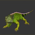 Lizard Anime Lizard Cartoon Lizard Reptile Cold Blooded Animal Reptile Reptile 3d model