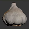 Fresh Whole Garlic Bulb With Natural Papery Skin And White Flesh
