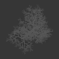 Tall Bare Branched Tree Silhouette Against Black Background With Human Figure