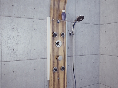 Shower model