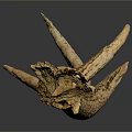 Natural Deer Antler With Brown Texture And Shiny Surface On Black Background 3d model