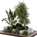 Lush Natural Tree Planter With Various Trees Green Plants Decorative Stones And Wooden Base