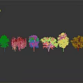 Different Types of Trees with Varied Foliage on Gray Background with Reflections