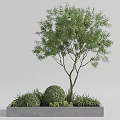Modern Outdoor Tree Planter With Tree Shrubs Greenery And Concrete Design 3d model