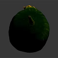 Fresh Green Cucumber with Striped Skin and Yellow Blossom Tip