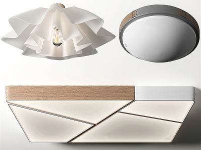 modern ceiling lamp model