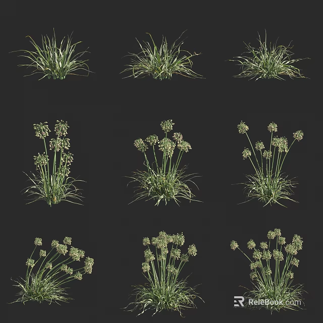 Various Types Of Green Grass And Small White Flower Plants As Decorative Design Elements 3d model 