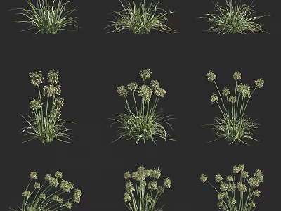 Various Types Of Green Grass And Small White Flower Plants As Decorative Design Elements 3d model