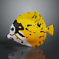 Vibrant Yellow Aquatic Fish With Black Spots White Body And Blue Eyes